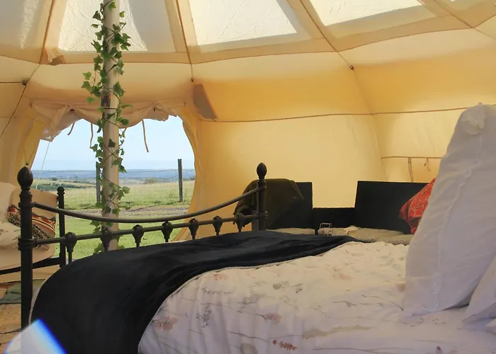 Tal-Y-Fan Farm 6M Stargazer Tent