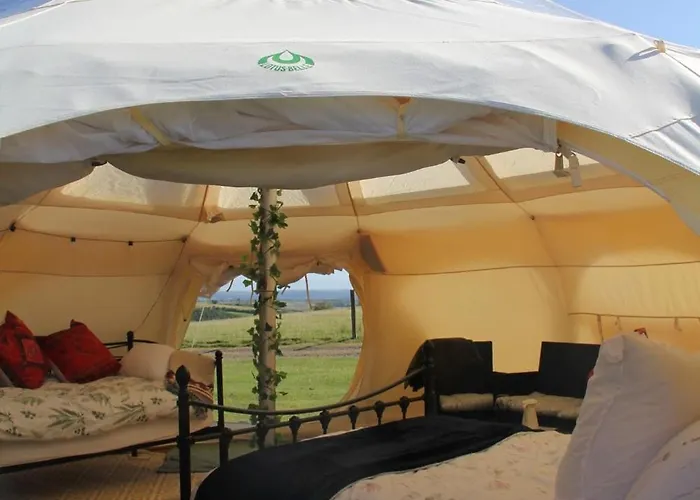 Tal-Y-Fan Farm 6M Stargazer Tent