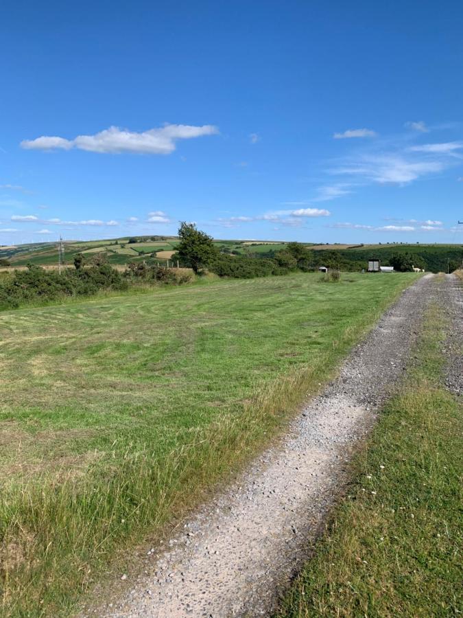 Tal-y-fan Farm 6m Stargazer Tent * Bridgend (Wales)