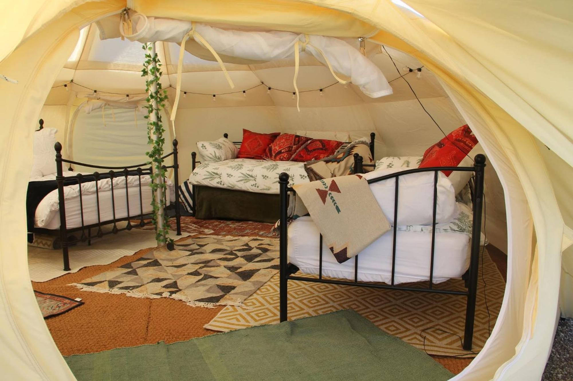 Tal-y-fan Farm 6m Stargazer Tent