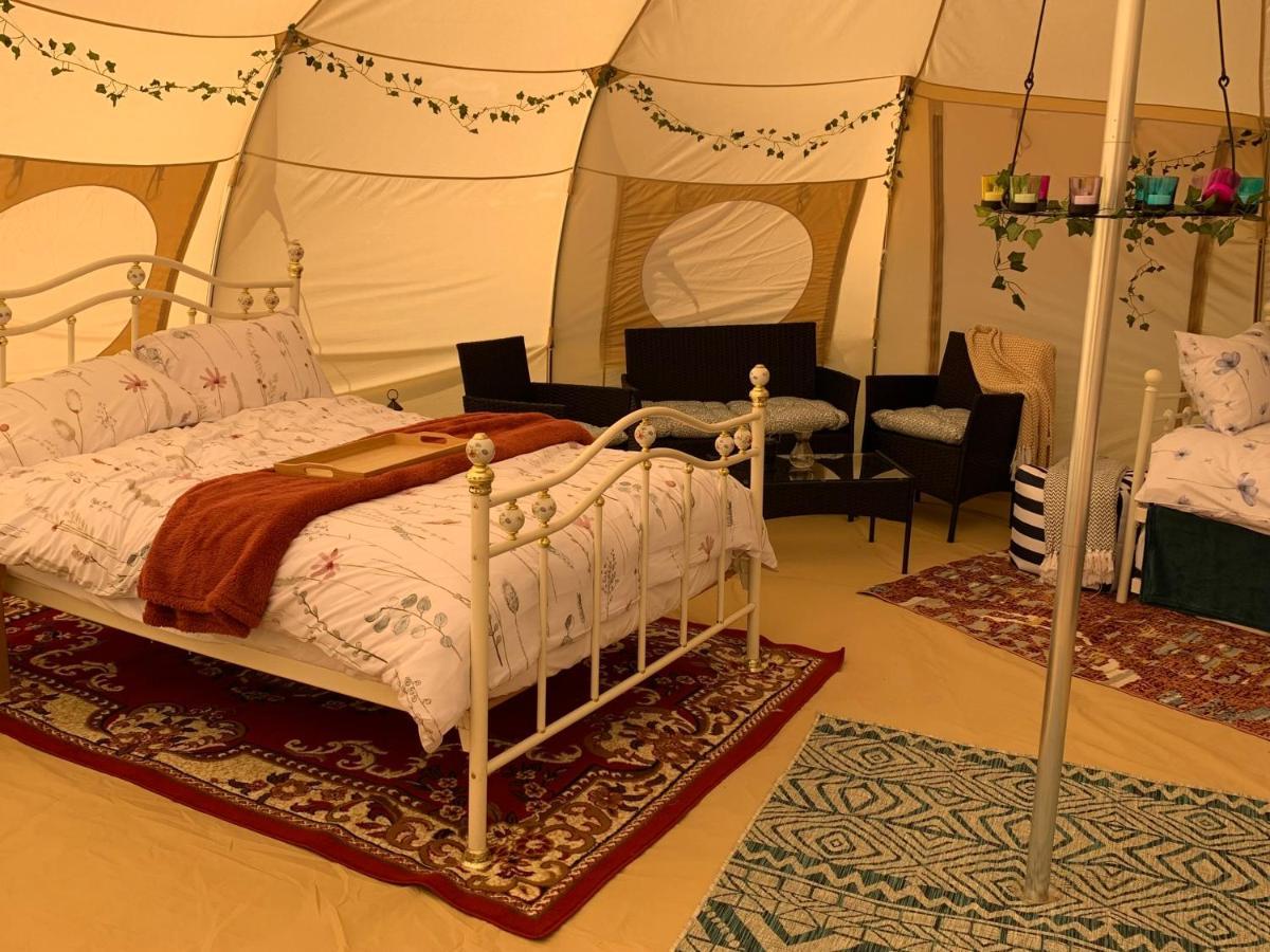 Tal-y-fan Farm 6m Stargazer Tent Luxury tent