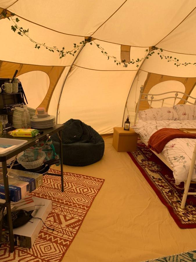 Tal-y-fan Farm 6m Stargazer Tent